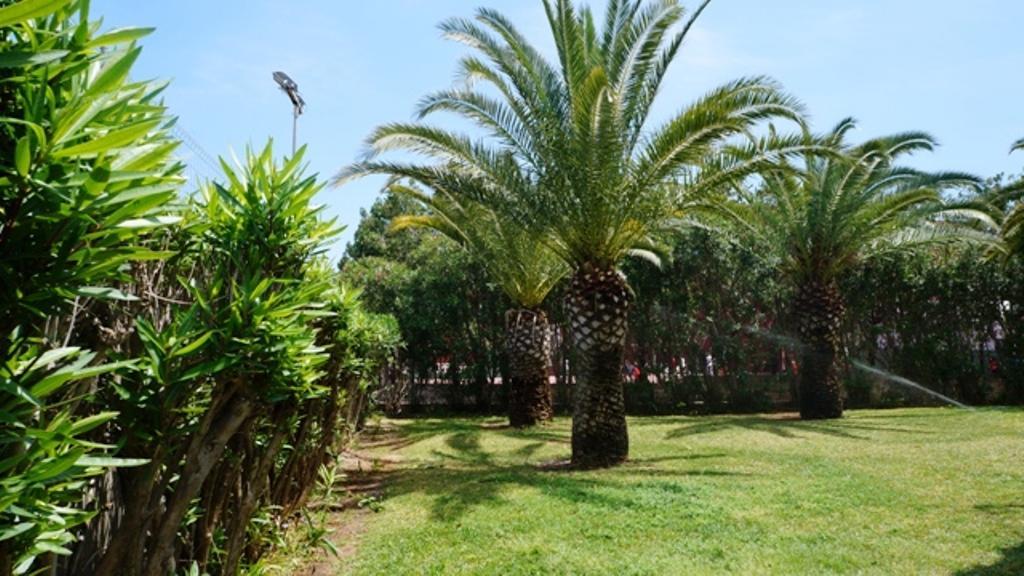 Patio Andaluz Apartman Denia Kültér fotó