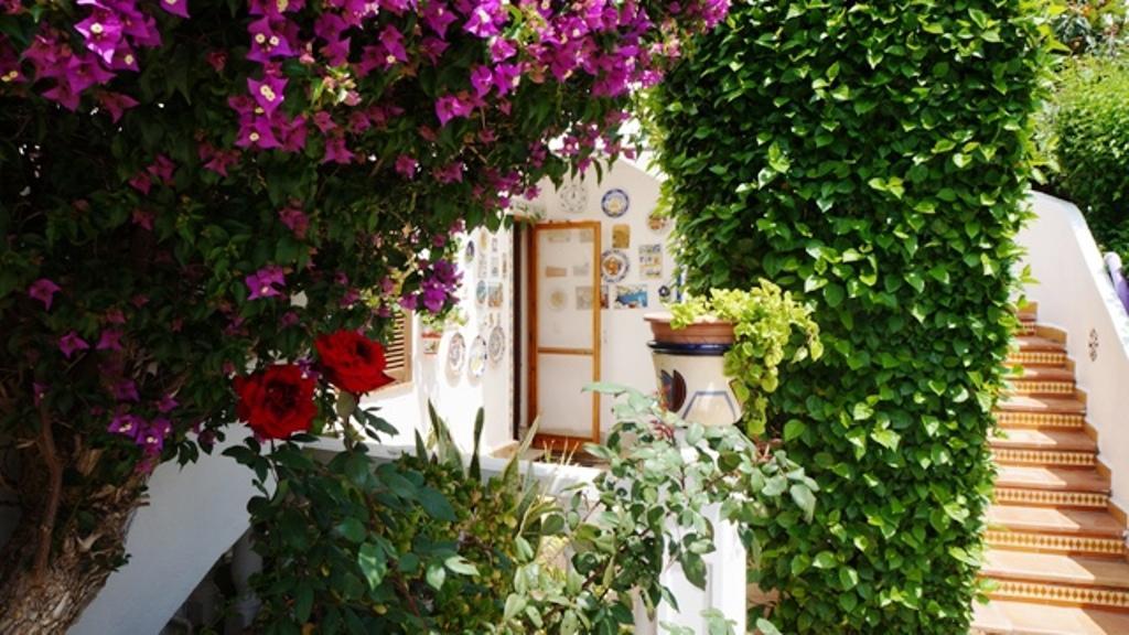 Patio Andaluz Apartman Denia Kültér fotó